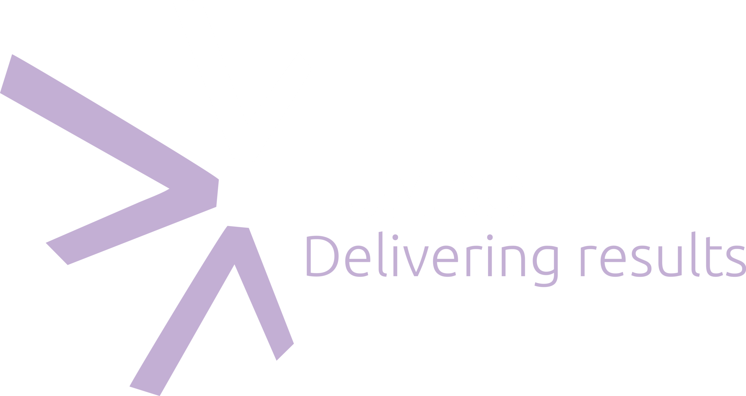 LUMRO – Consultanță în Management