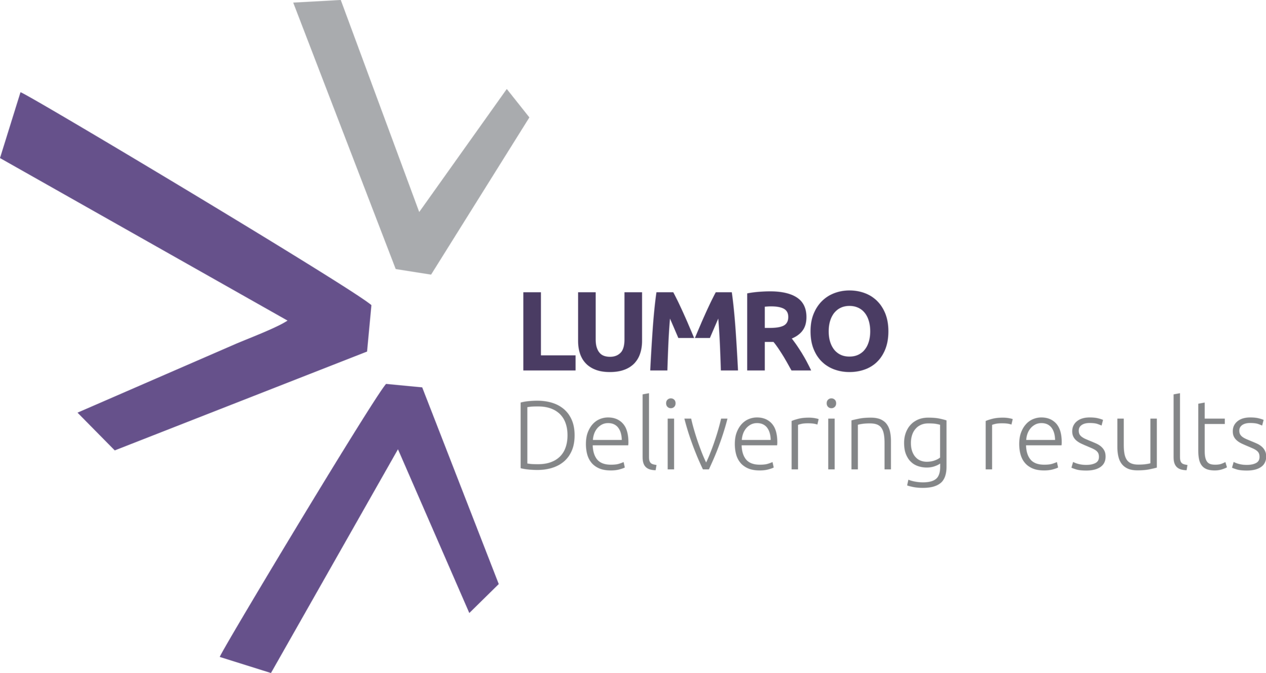 LUMRO – Consultanță în Management